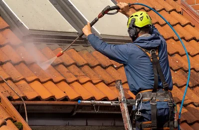 Démoussage et hydrofuge de toiture à Ribarrouy